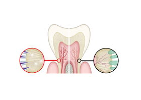 Schmerzen überempfindliche Zähne - Dr. Gordon Schroeder - Zahnarztpraxis Dr. Gordon Schroeder in Lengerich & Ladbergen